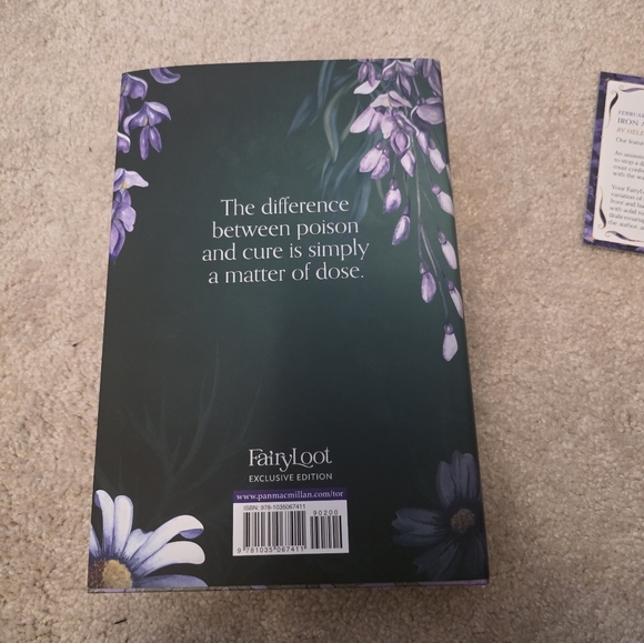 Iron & Embers - Fairyloot February 2025 Romantasy - Picture 7 of 9